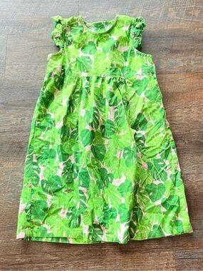 Classic Whimsy girls size 6 dress